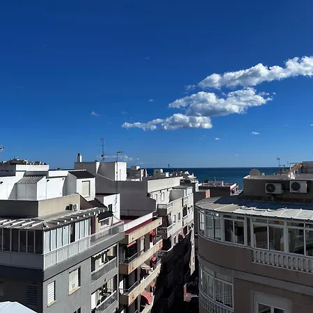 Zadorhomes - Caballero De Rodas